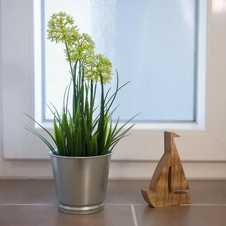 شقة Haus-meeresglueck-seemuschel داهم